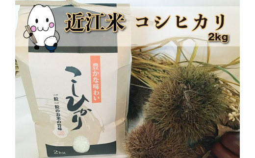 ◆実生庵の近江米【四季風流】精米2kg×1袋 滋賀県高島市産コシヒカリ 生産者直売100%