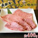 【ふるさと納税】飛騨牛　ロース・ヒレ焼肉用約400g（約200g×2p）A4～A5等級使用　【お肉・牛肉・ヒレ・ロース・焼肉・飛騨牛・焼肉用・約400g】