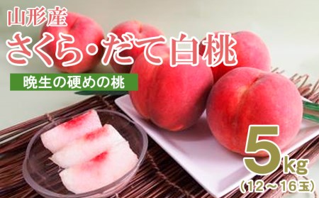 山形産晩生のかための桃5kg(さくら、だて白桃) 【令和6年産先行予約】FU18-865