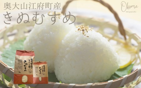 【令和7年産】きぬむすめ 5kg 鳥取県江府町産 キヌムスメ 精米 産地直送 5ｷﾛ 0933