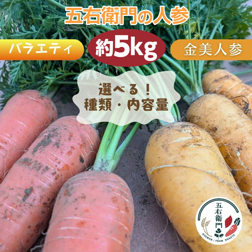 【ふるさと納税】五右衛門の人参 選べる品種 / 内容量 金美ニンジン バラエティ 5kg SS〜LLサイズ混載 20本前後　35本前後 にんじん ニンジン キャロット 鉾田 茨城
