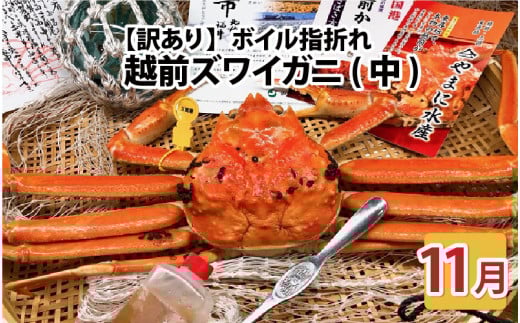 【先行予約】名人が茹でる とれたて指折れ訳あり越前がに(中) 1杯 やまに仕込み【11月発送分】[E-4353_11]