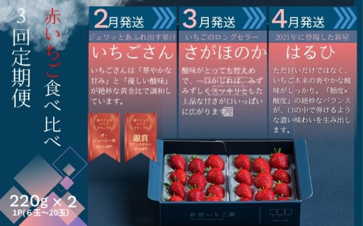【先行受付！2027年2月から発送開始】赤いちご食べ比べ定期便　全3回（2月〜4月）：B280-011