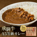 【ふるさと納税】A5等級飛騨牛 カレー 3食セット | 肉 牛肉 レトルト 非常食 レトルトカレー 人気 飛騨高山 ながせ食品 FH006VP