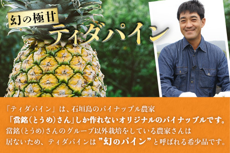 YK-3 當銘さんの完熟カットパイン２．５ｋｇ（２５０ｇ×１０袋）