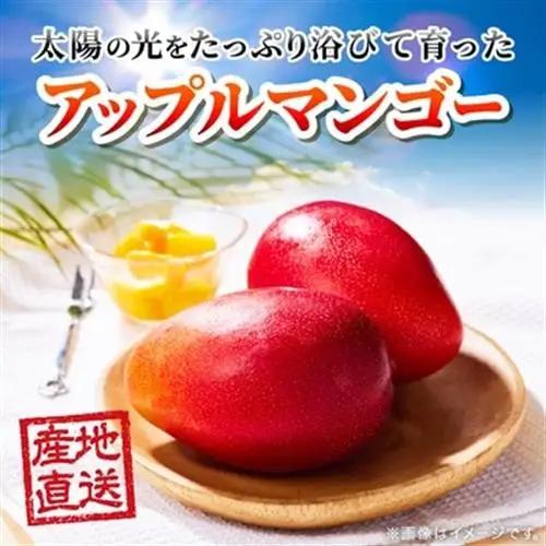【2027年6月中旬から順次発送】今帰仁産のA級アップルマンゴー2kg(4～6玉)【配送不可地域：離島】【4014731】