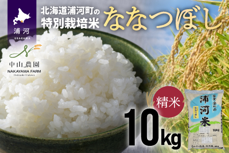 【新米発送！】浦河の特別栽培米「ななつぼし」精米(10kg×1袋)[37-1026]