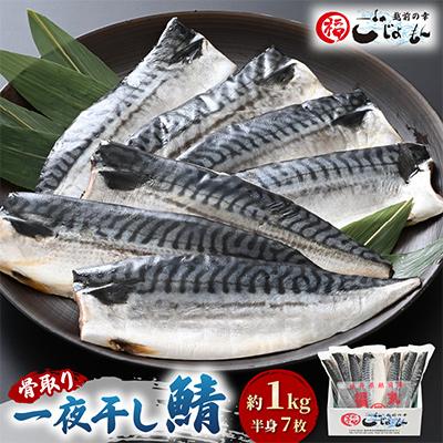 ふるさと納税 越前町 越前漁師福丸の骨取り鯖の一夜干し　約1kg入り