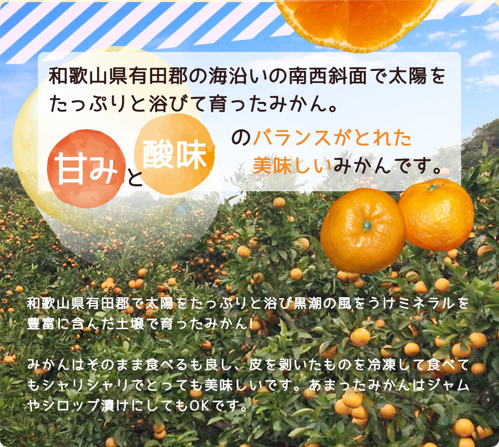 ZJ6090_【ふるさと納税】【ご家庭用】和歌山 有田みかん 約7kg (2L、3Lサイズ)【湯浅町】