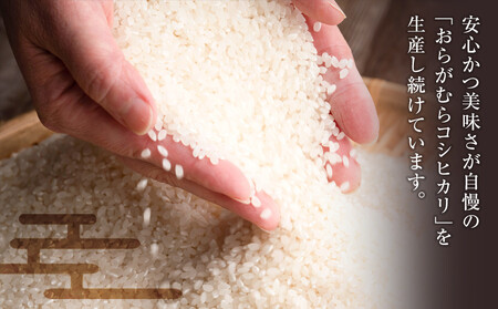 【予約受付】【令和７年米】長野県宮田村産 コシヒカリ 精米 18kg・38,000円／令和８年5月配送 [ コシヒカリ ]