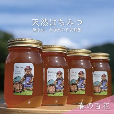 ふるさと納税 美濃市 合計2400g 深田養蜂の天然蜂蜜 国産蜂蜜 非加熱 生蜂蜜 岐阜県 美濃市産 春 A8