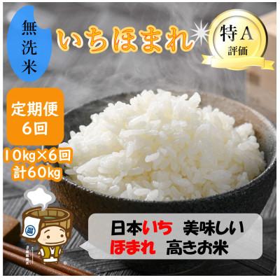 ふるさと納税 あわら市 【毎月定期便】いちほまれ 無洗米 5kg×2袋(計10kg)全6回