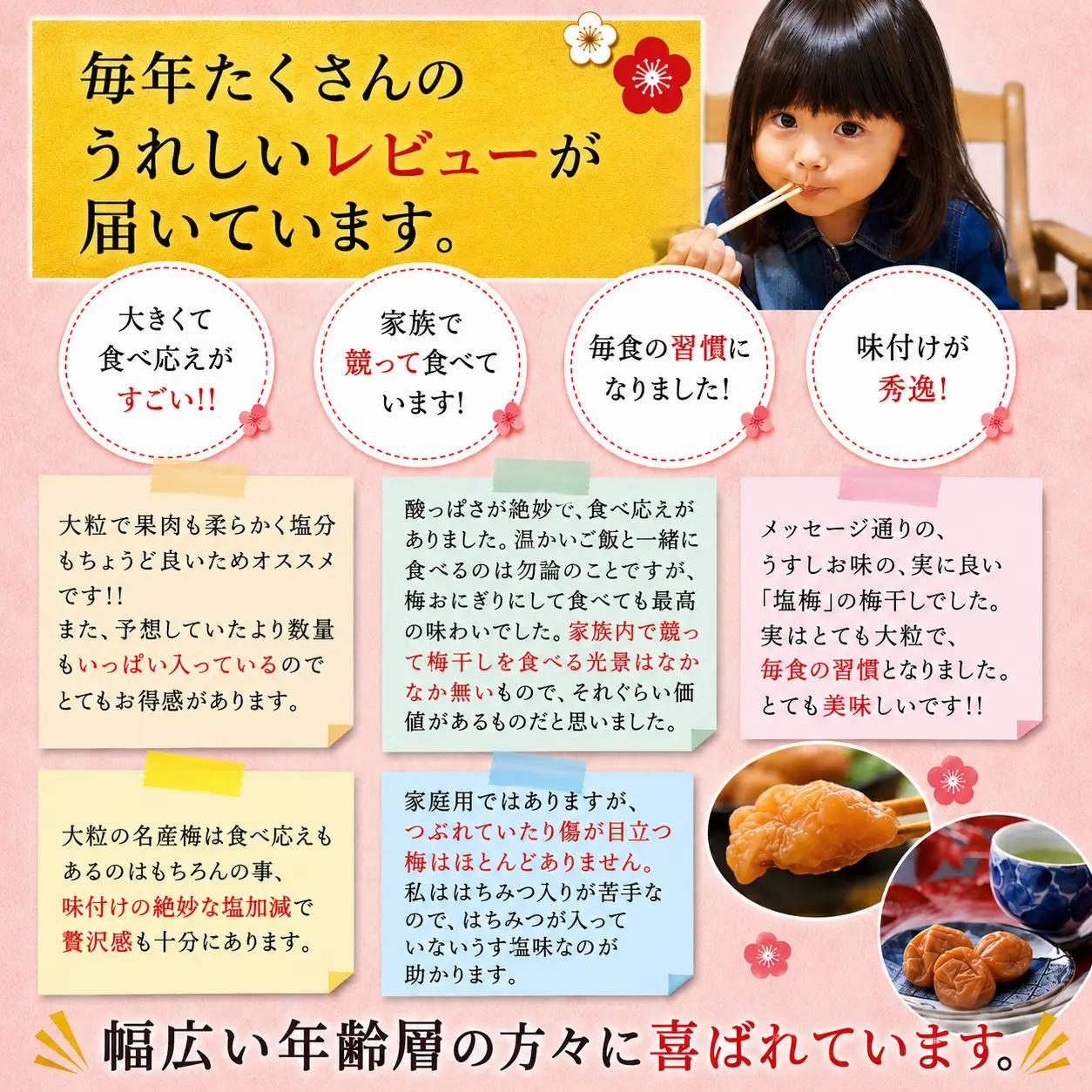 梅干し 紀州南高うす味梅干し 1.4kg 大粒 ご家庭用【inm300C】