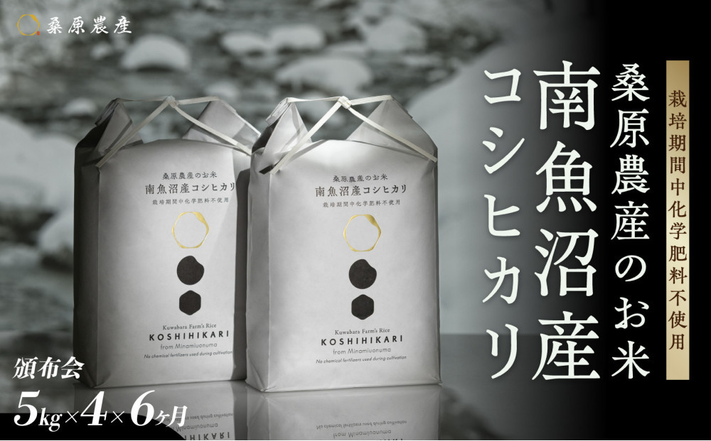 【令和8年産新米】【頒布会】最優秀賞受賞【減農薬】最高峰南魚沼産こしひかり5kg×4　6ヶ月　桑原農産のお米(精米)【2026年9月中旬より1ヶ月以内に順次発送予定】