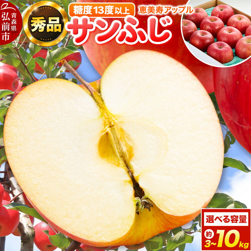 【ふるさと納税】【25年12月〜発送】りんご 【糖度13度以上】サンふじ ［約3kg／5kg／10kg 選べる容量］【秀品】 青森県 フルーツ 果物