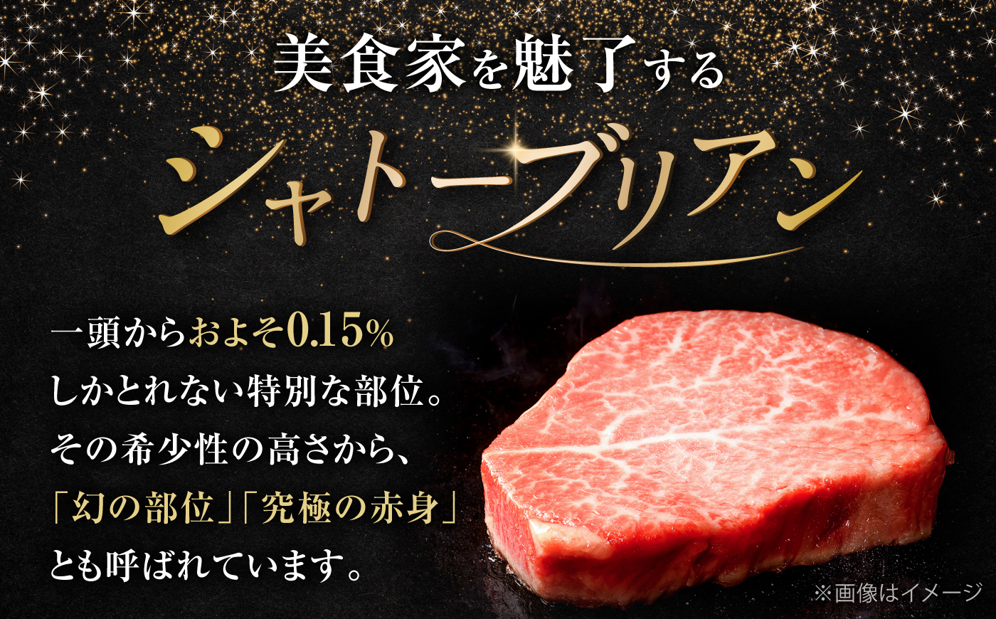【希少部位！】博多和牛 シャトーブリアン 100g×4枚 （計400g）《豊前市》【肉のくまもと屋】 [VFD034]