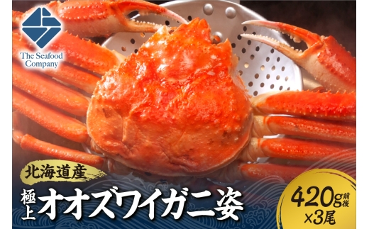 北海道産極上オオズワイガニ姿　420g前後×3尾セット