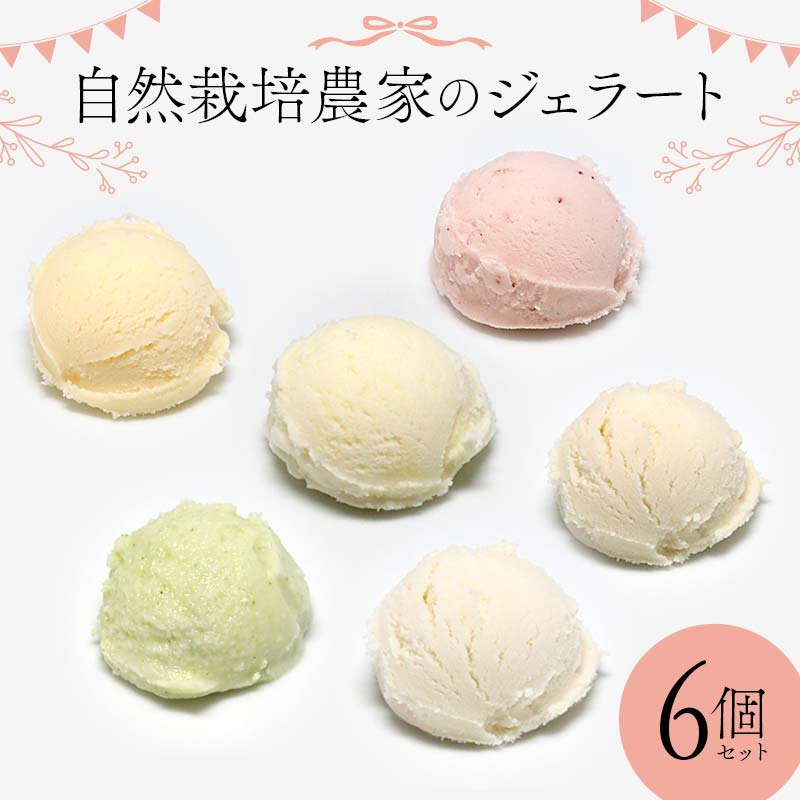 【ふるさと納税】自然栽培農家のジェラート 6個セット ジェラート デザート スイーツ 菓子 食品 F7X-0362