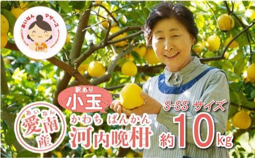 
										
										訳あり 河内晩柑 小玉 （ S-SS サイズ 混合 ） 10kg 7000円 みかん かわちばんかん 愛南ゴールド あいなん ゴールド 美生柑 文旦 グレープフルーツ 和製 家庭用 事前 受付 産地直送 国産 農家直送 糖度 果樹園 期間限定 数量限定 特産品 ゼリー ジュース 人気 限定 さわやか 甘い フルーツ 果物 柑橘 蜜柑 規格外 愛媛県 愛南町 あいなんマザーズ
									