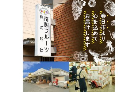 ＜先行予約受付中！2025年10月下旬～2025年11月下旬に順次発送予定＞甘うぃ キウイ(約1.5kg・12-15玉)＜離島配送不可＞【ksg0124】【南国フルーツ】