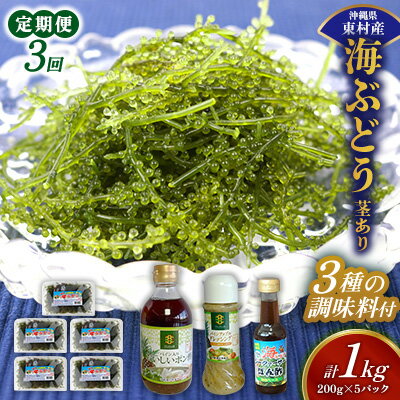 【ふるさと納税】【定期便：3回】美ら海 沖縄県産 海ぶどうセット／茎あり1kg（200g×5パック）＆調味料3種セット 海ブドウ 海ぶどう うみぶどう パック 茎なし ポン酢 ドレッシング たれ付き クビレズタ 海鮮 海藻 プチプチ おつまみ 沖縄料理 ご当地 特産品