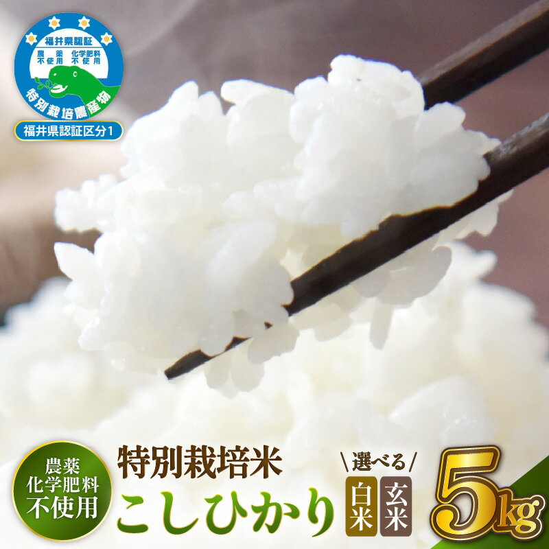 【ふるさと納税】【令和7年産 】 特別栽培米コシヒカリ5kg 無農薬米 福井県認証区分1取得 越前町【選べる精米方法：白米／玄米】【5キロ お米 コメ 農薬化学肥料不使用 送料無料】