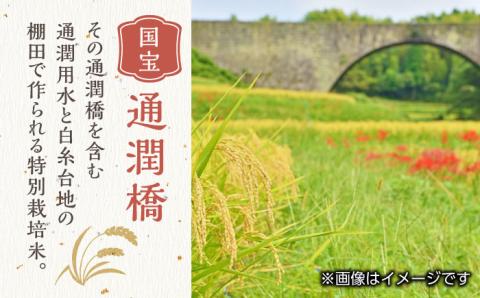【全12回定期便】令和5年産  通潤橋 水ものがたり 棚田米 4kg (2kg×2袋) お米 白糸台地 熊本産 特別栽培米 定期便 【一般社団法人 山都町観光協会】[YAB017]