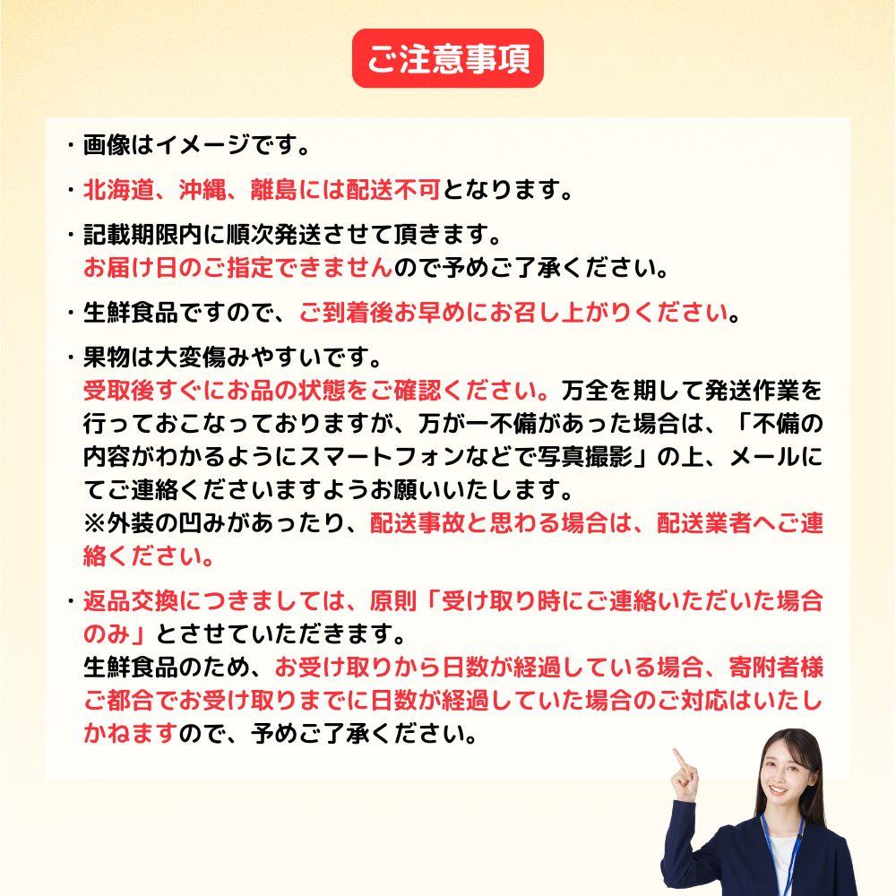 岡山冬桃がたり6～9玉（計約1.3ｋｇ）化粧箱入
