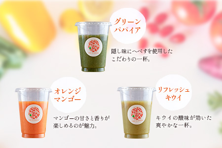「定期便6か月コース」南国酵素スムージー　200ml×12本セット×6回　 野菜・果実ミックスジュース　青パパイア　果物　フルーツ　飲料　健康　栄養【F109】