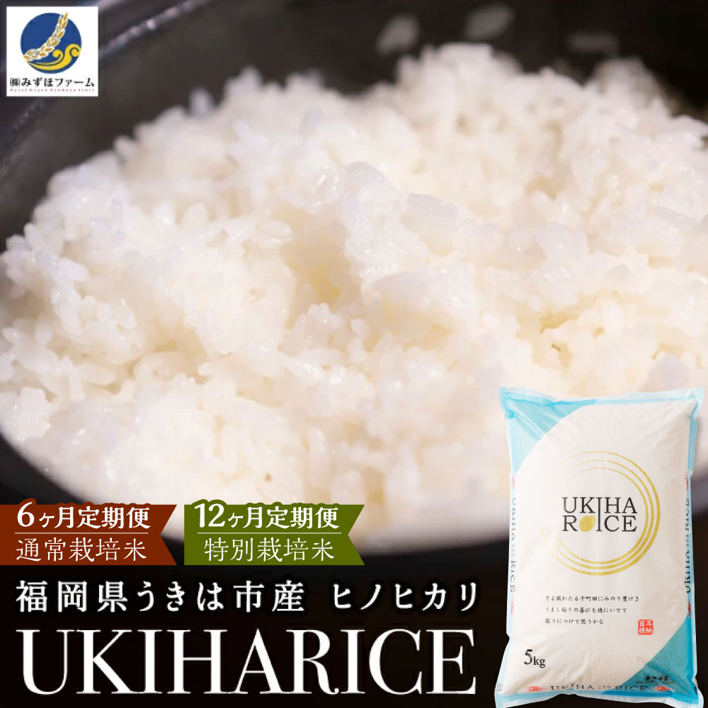 【ふるさと納税】〈選べる容量・定期便〉みずほファーム UKIHA RICE 白米 （5kg・10kg）・【6ヶ月定期便】・【12ヶ月定期便】【2025年11月より順次発送予定】【特別栽培米】こめ 白米 コメ ごはん ご飯 送料無料 福岡県 うきは市