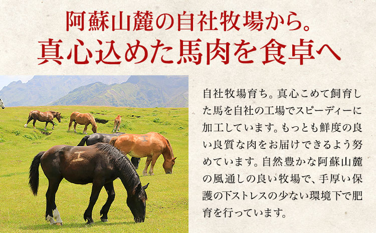 国産 馬刺し 赤身 800g 亀井通産株式会社(株式会社フジチク) 《30日以内に出荷予定(土日祝除く)》 小分け 馬肉 刺身 冷凍 熊本県 菊池市 送料無料