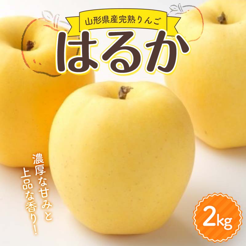 【ふるさと納税】山形県産 厳選完熟りんご 『はるか』有袋栽培 秀品以上 2kg化粧箱（5～10玉入り）《先行受付2026年度12月発送》 FSY-2183