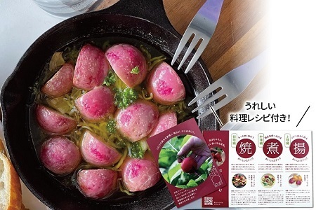 京丹波ラディッシュ 7袋セット 京都 丹波 大粒 ジューシー フルーティー ソテー グリル料理 バーベキュー アヒージョ かき揚げ サラダ スープ ※北海道・沖縄・その他離島への配送不可 [010NM