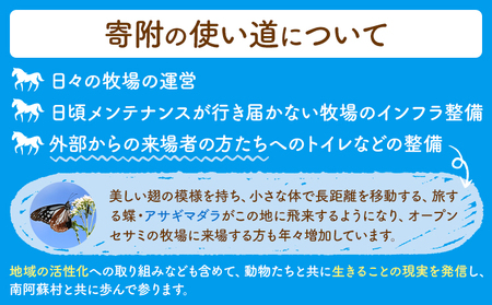 【返礼品なし】引退馬余生支援寄附 1,000,000円 一般社団法人オープンセサミアライブ 熊本県 南阿蘇村 馬 ウマ 支援 競走馬 引退馬 生活支援 動物愛護 保護 返礼品なし 寄附 牧場 オープン