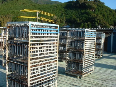 さんま丸干し　10本　魚作商店3代目の丸干し製法