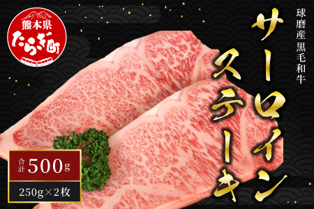 球磨産 黒毛和牛 サーロイン ステーキ 計500g ＜250g ×2枚＞【国産 牛肉 肉 最高級 和牛 人気】 011-0001
