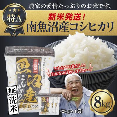 ふるさと納税 南魚沼市 無洗米 令和7年産 南魚沼産 コシヒカリ 8kg (美味しいお米の炊き方ガイド付き)