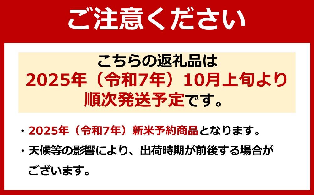 【令和7年産新米予約】【定期便（無洗米）】南魚沼産コシヒカリ（10kg×3回)