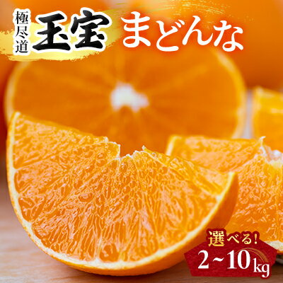 【ふるさと納税】「玉宝ブランド」【まどんな】 2kg / 3kg / 5kg / 10kg ※紅まどんなと同品種_ みかん まどんな 紅まどんな 玉宝 愛媛のみかん 柑橘 果物 くだもの フルーツ デザート 美味しい 甘い プルプル 【G1511381】