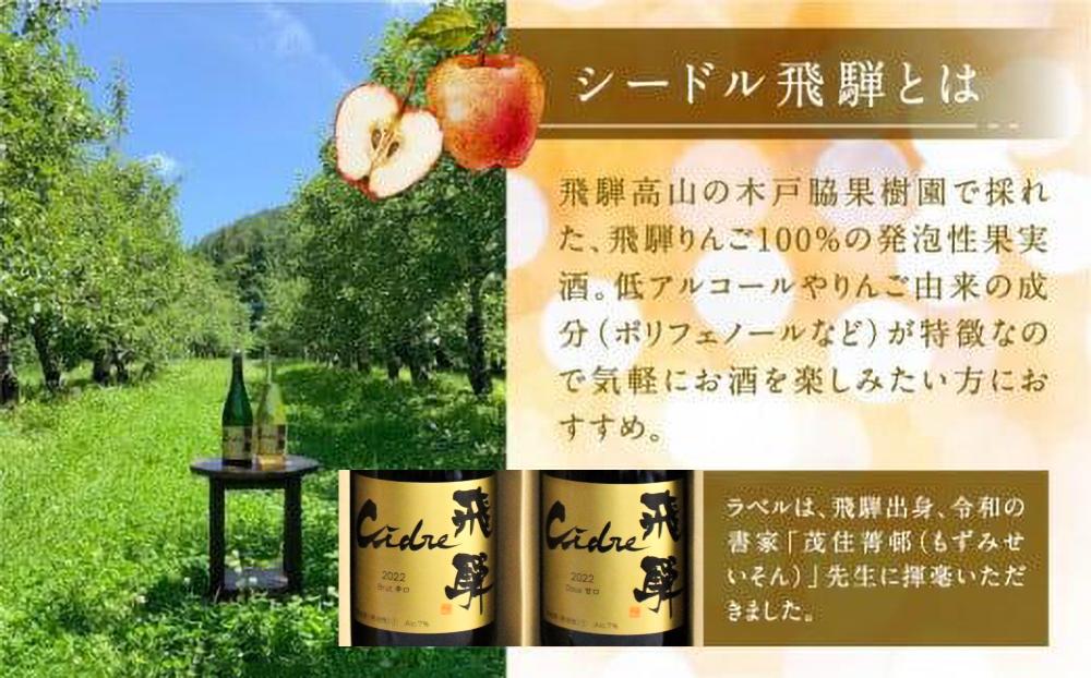 飛騨りんご お酒 シードル スパークリング スパークリングワイン 果実酒 りんご リンゴ ワイン 木戸脇果樹園 飛騨 甘口 FP002