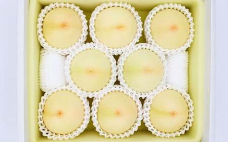 岡山白桃・晩生（ご家庭用）約2kg 6～9玉入り【2026年8月下旬 発送予定】【もも 桃 白桃 果物 フルーツ 国産 人気 おすすめ 岡山県 倉敷市】