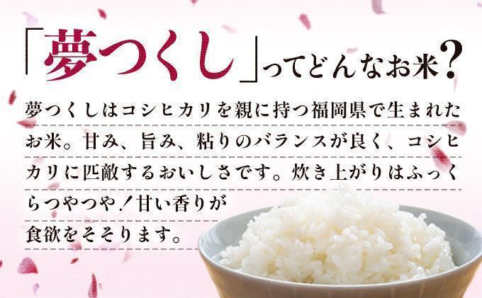 【12ヶ月定期便】令和7年産 福岡県産米 夢つくし 15kg ※北海道・沖縄・離島は配送不可 |【精米 単一米 単一原料米 7年産 国産 お米 ブランド米 5kg × 3 ゆめつくし】CY010sub