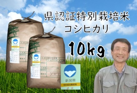 【令和6年産新米予約】特別栽培米 コシヒカリ 10kg  新潟県認証 9月下旬より順次発送予定 1G02021