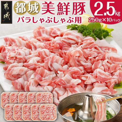 「都城美鮮豚」バラしゃぶ2.5kg(250g×10パック)_AC-5402