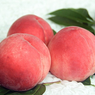 山梨県山梨市産 桃 約2kg(5～8玉)【配送不可地域：離島】