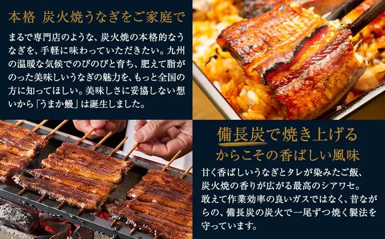 うなぎ ご家庭用 4尾  国産 タレ付 鰻