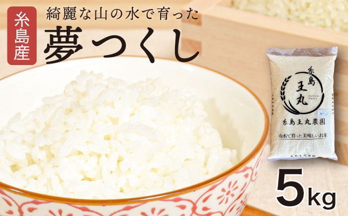 
                  【令和7年産】糸島産 夢つくし 5kg　糸島市 / 糸島王丸農園 ( 谷口汰一 )【いとしまごころ】[AAZ001]
                