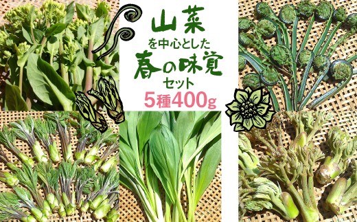 
                  ＜8月から寄附額改定＞《先行予約》山菜を中心とした春の味覚セット syun11　野菜 山菜 春野菜 ありがとうファーム 有機野菜 春の味覚 2026年先行予約 
                