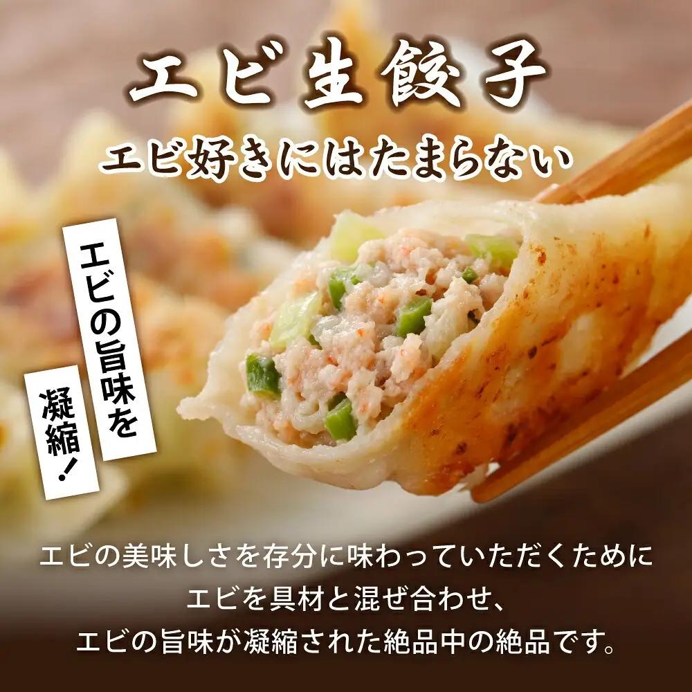 餃子 3種類 詰め合わせ 計60個（12人前）
