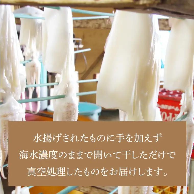 真いか一夜干(中判2枚入り)|イカ 真イカ 海鮮 魚介 海の幸 真空 茨城県 北茨城市（BH008）